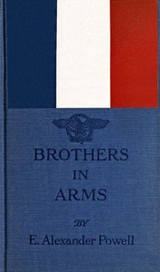 Cover of Brothers in arms — Reading Notes